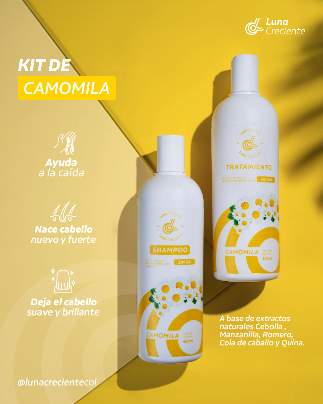 Shampoo de Camomila + Tratamiento LC012