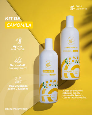 Shampoo de Camomila + Tratamiento LC012