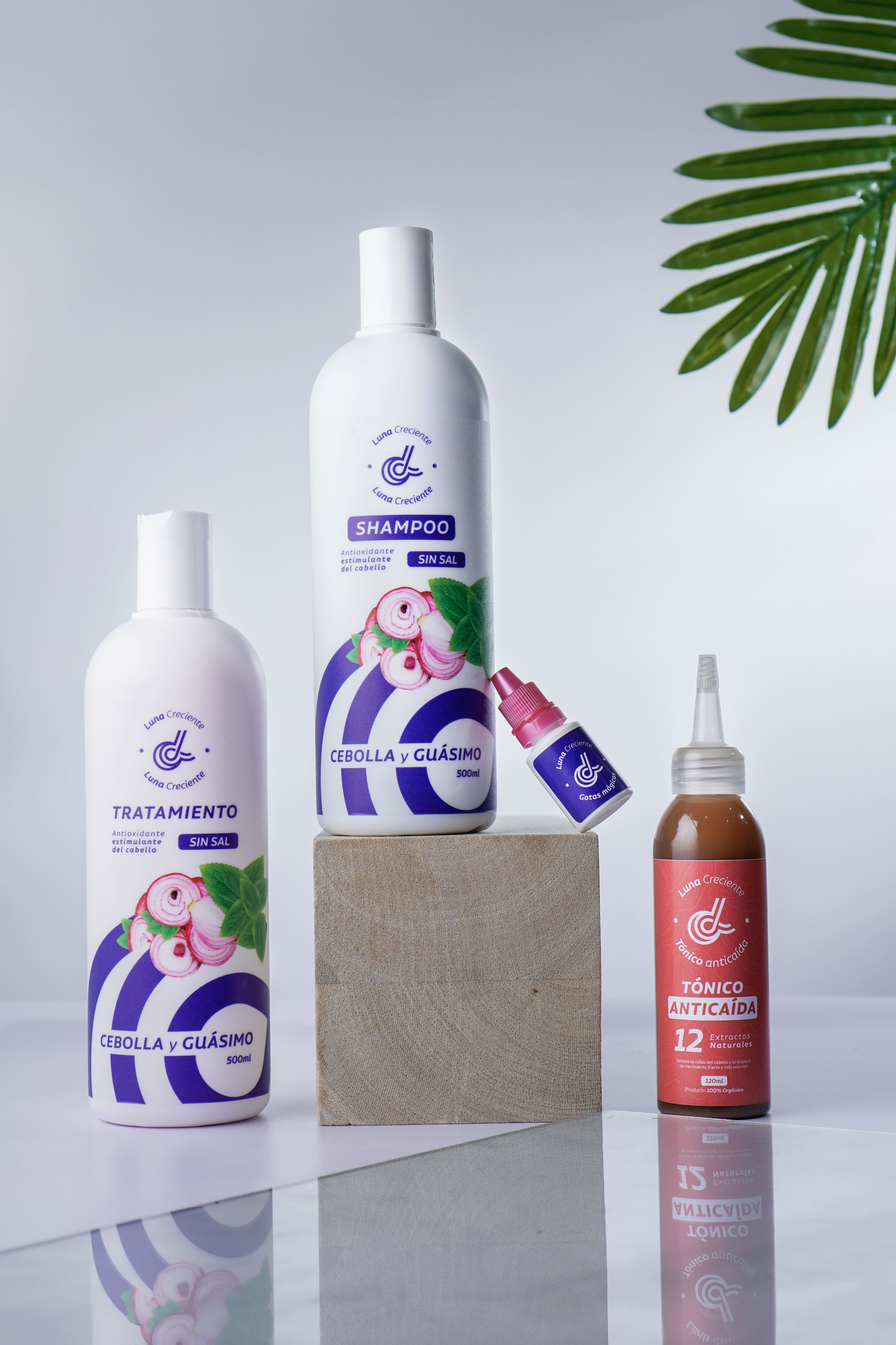 KIT ANTI-CAÍDA EXCESIVA, CRECIMIENTO Y REPARACIÓN
