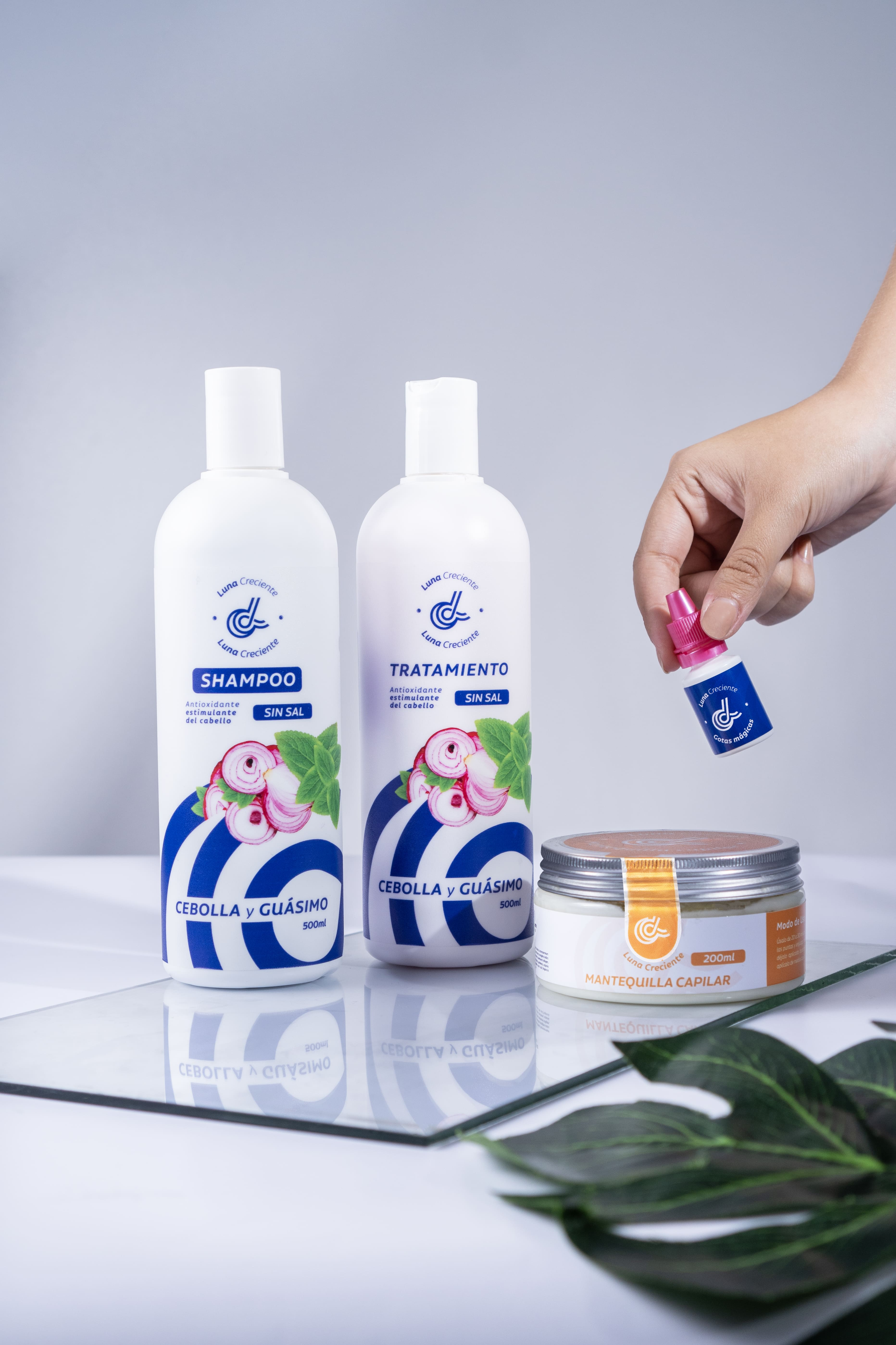 Kit anticaída e hidratación extrema
